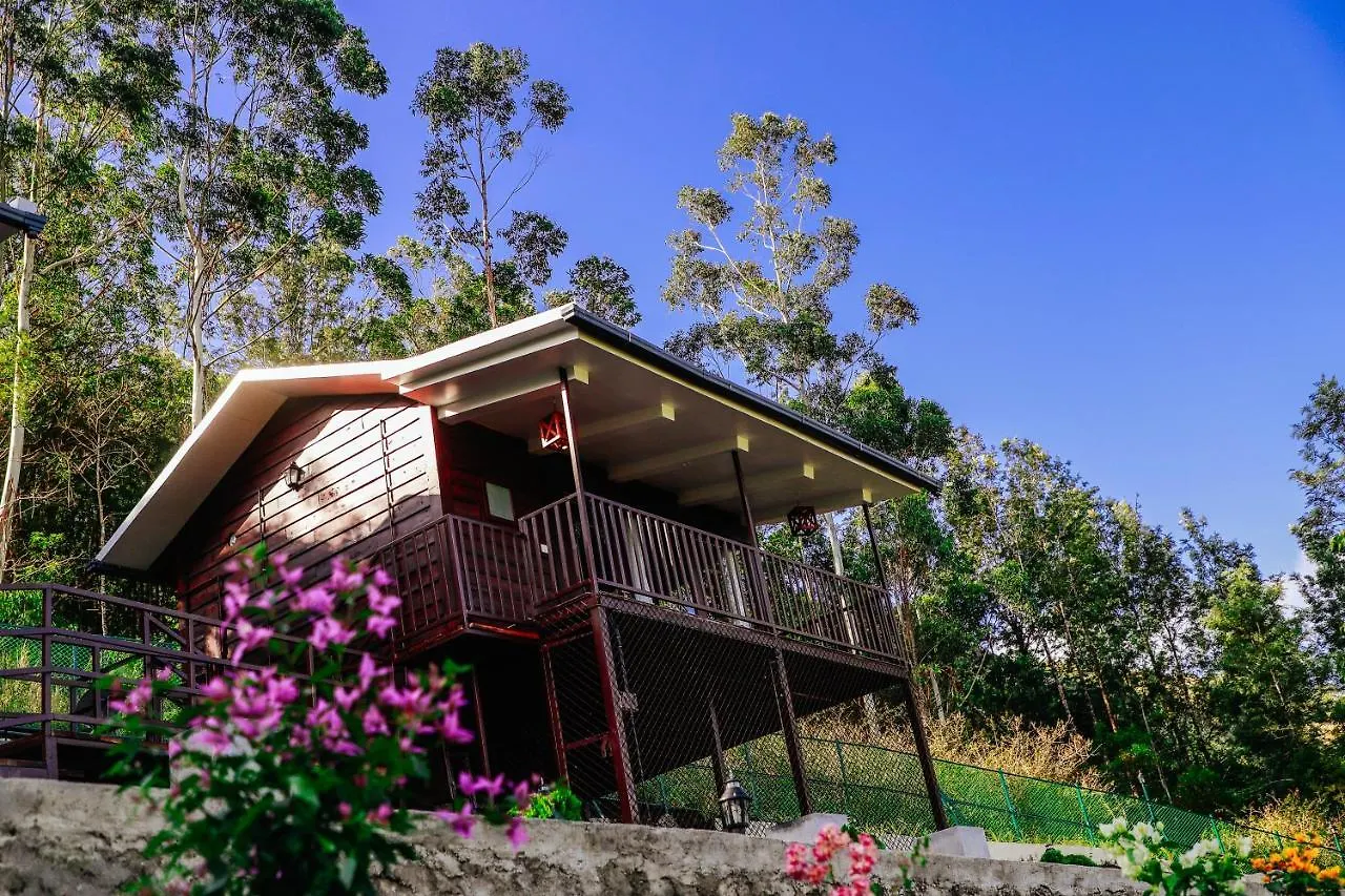 Wild Orchid Eco Tourism contacts