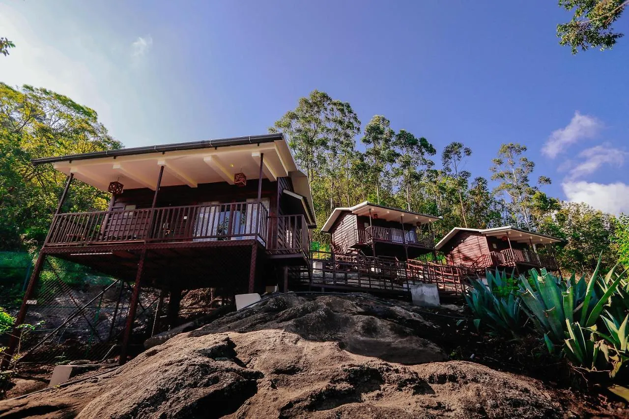 Wild Orchid Eco Tourism